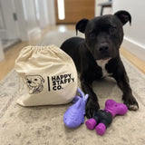 Classic Toy Collection