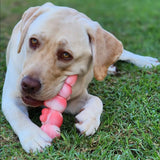 Tough Wiggle Worm