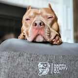 Deluxe Orthopedic Memory Foam Bed