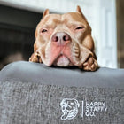 Deluxe Orthopedic Memory Foam Bed