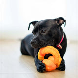 PowerFlex™ Jungle Trek Collection