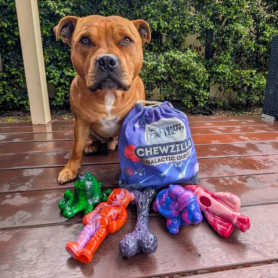 Chewzilla Galactic Quest Collection photo 10
