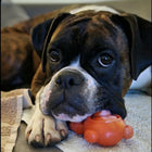 Treat & Toy Combo (Chewzilla®)