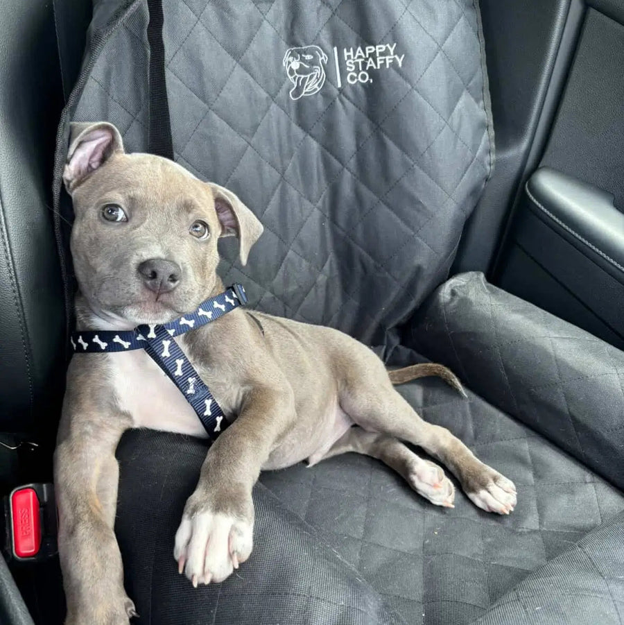 Single Car Seat Protector