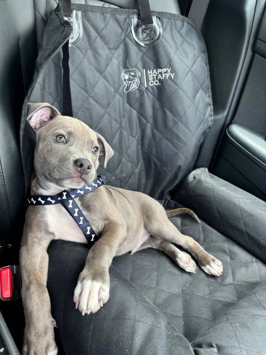 Single Car Seat Protector