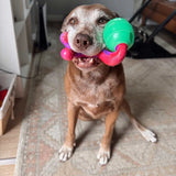Chewzilla® Treat Dispenser