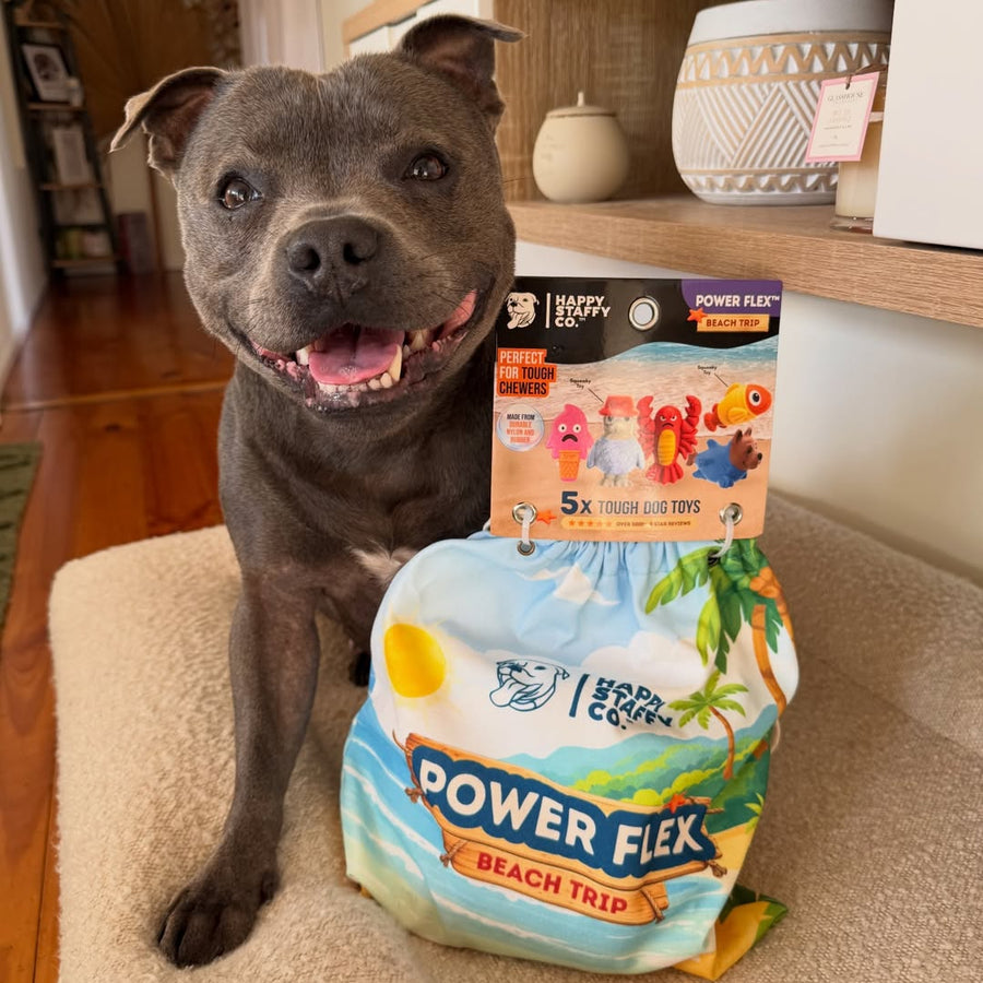 Treat & Toy Bundle (PowerFlex™ Beach Trip)