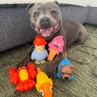 Treat & Toy Bundle (PowerFlex™ Beach Trip)