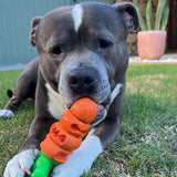 Chomp Carrot