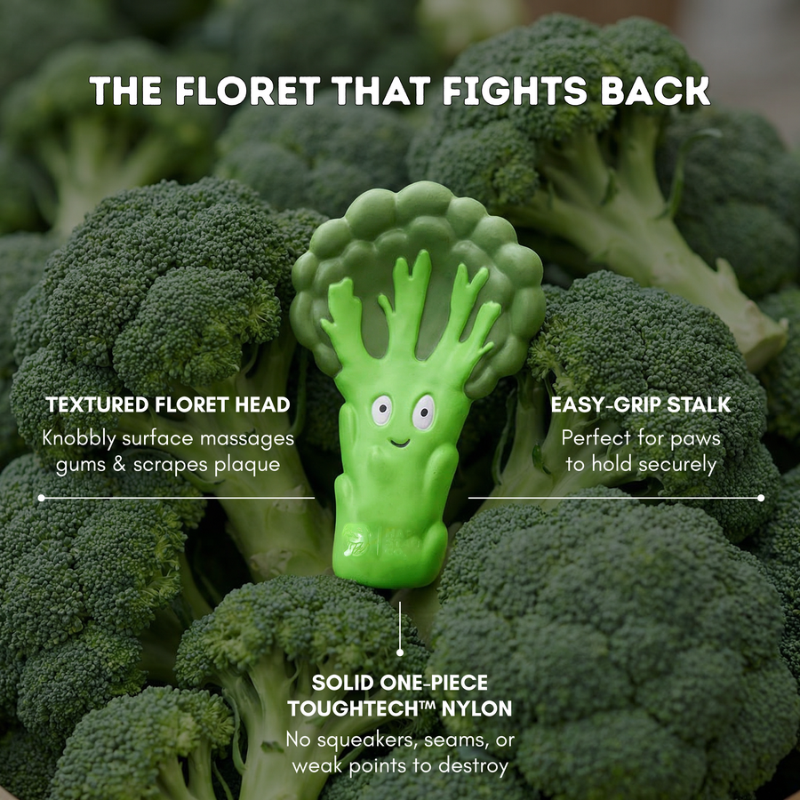 Broccoli Crunch