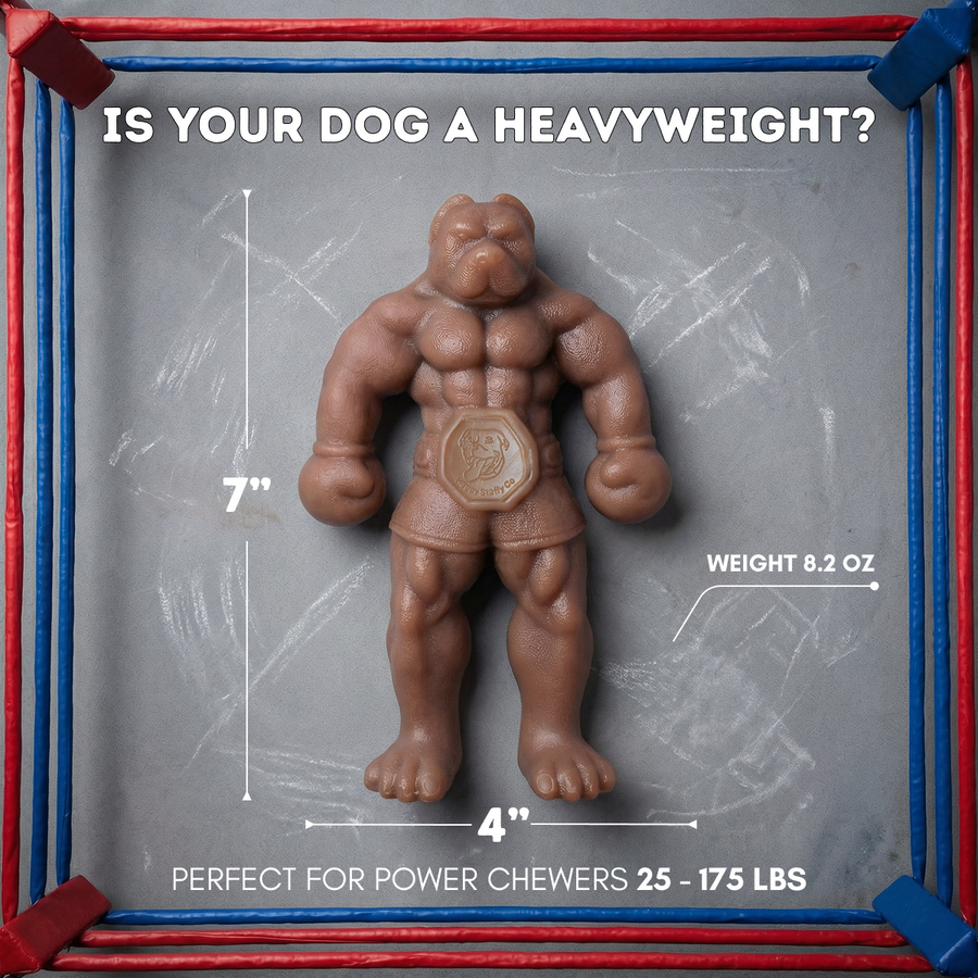 Staffy Balboa