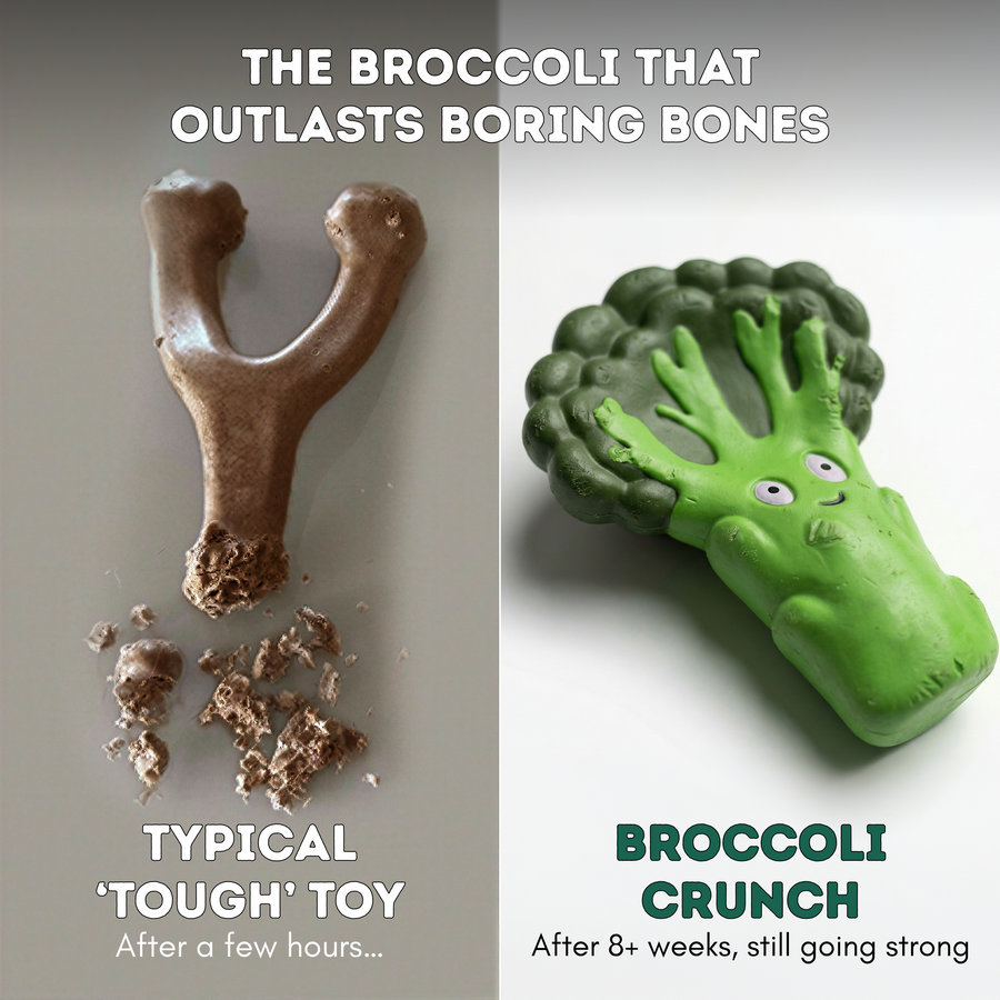 Broccoli Crunch