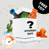 Mystery Chewzilla Toy