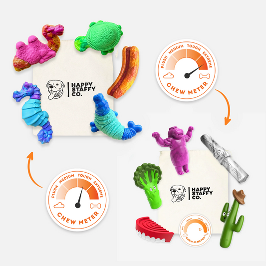 Chewzilla X Power Chewers Bundle