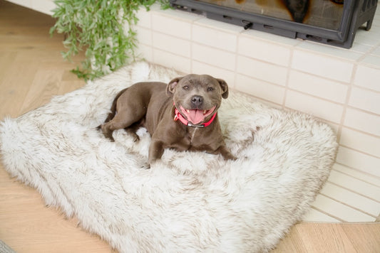 Faux Fur Blanket Cover