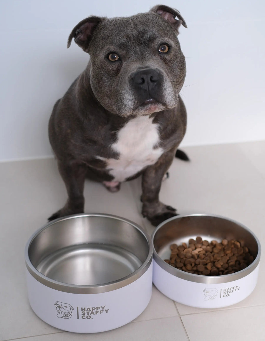 Food & Water Bowl Combo