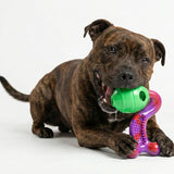 Chewzilla® Treat Dispenser