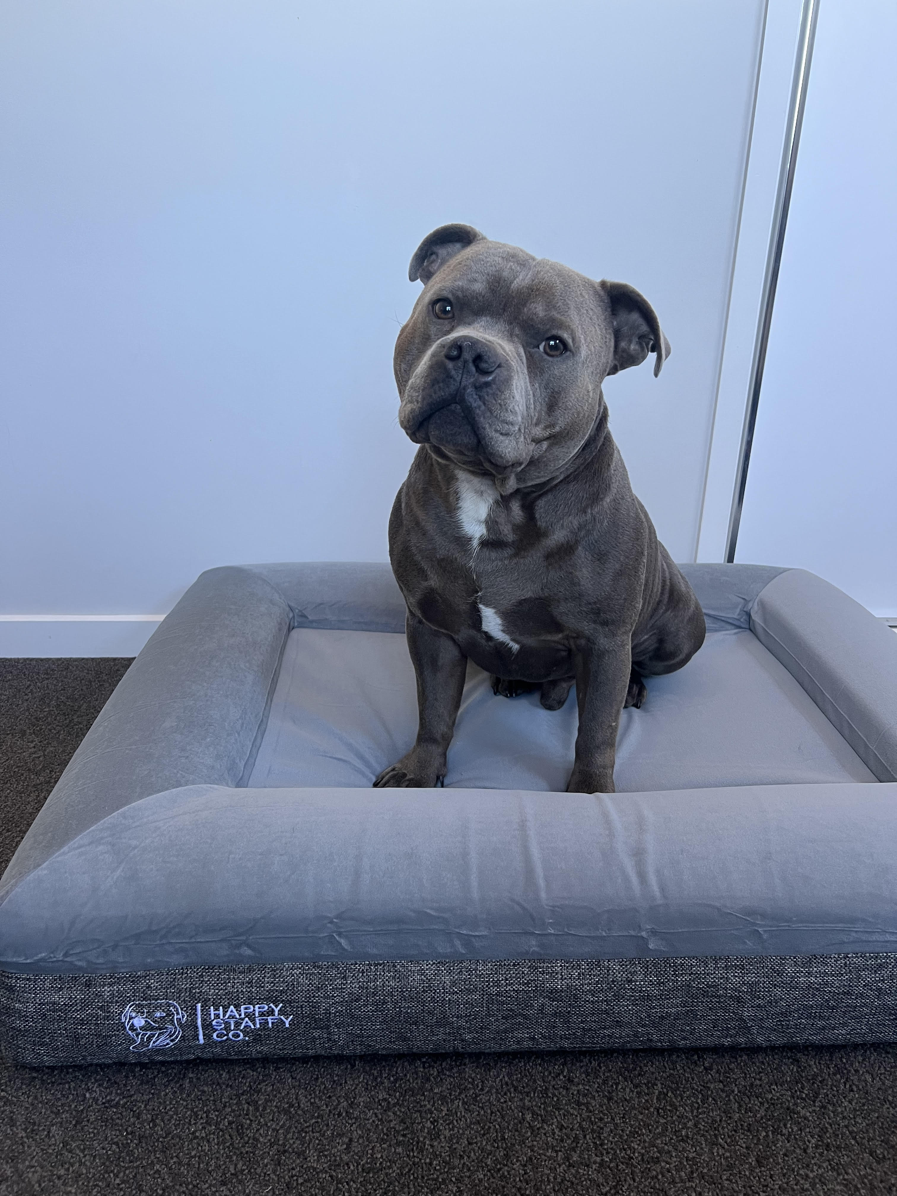 Deluxe Orthopedic Memory Foam Bed