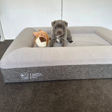 Orthopedic Memory Foam Bed + Pullover Blanket Cover