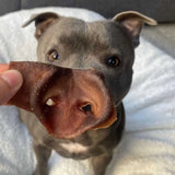 Black Friday Baller Pup Bundle - USA Edition