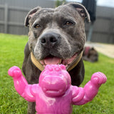 Chewzilla Collection