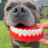 Chewzilla Collection