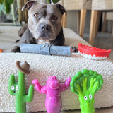 Mystery Chewzilla Toy