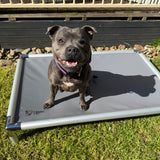 Chew-Proof Outdoor Bed