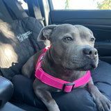 Single Car Seat Protector