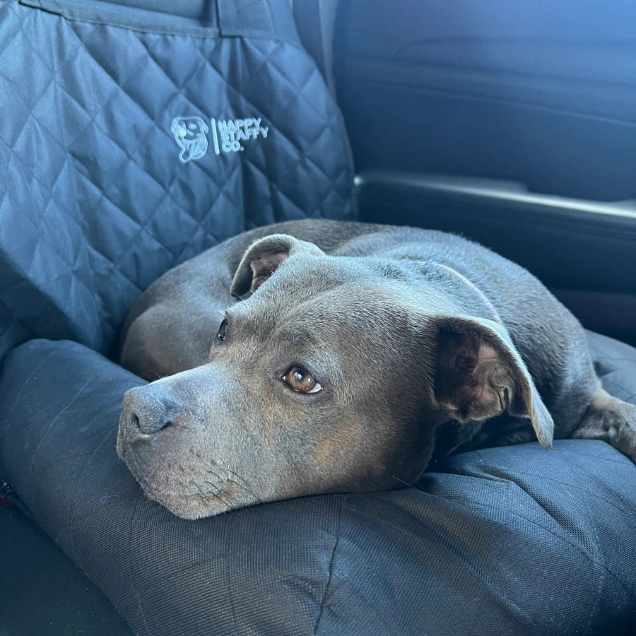 Premium Car Seat Protector