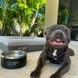 Food & Water Bowl Combo