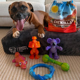 Aussie Outback Birthday Pack