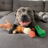 Classic Toy Collection