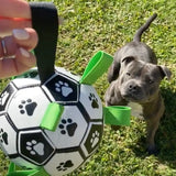 Ronaldog Soccer Ball