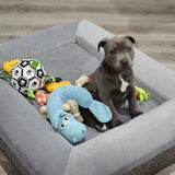 Ronaldog Soccer Ball