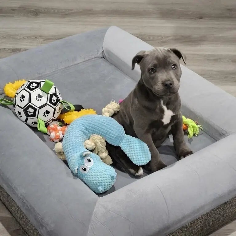 Ronaldog Soccer Ball photo 9