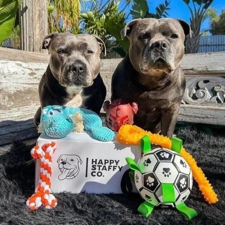Ronaldog Soccer Ball photo 10