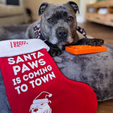 Holiday Stocking - Free Gift