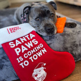 Holiday Stocking - Free Gift