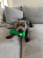 Crocodile Dental Chew