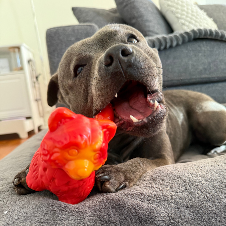 Treat & Toy Bundle (PowerFlex™ Collection) photo 9