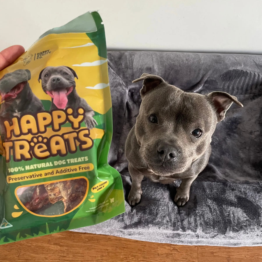 Bully Sticks (Beef Pizzle Thick)