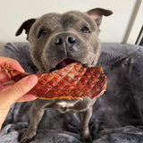 Natural Treat Bundle