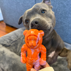 Treat & Toy Combo (Chewzilla®)