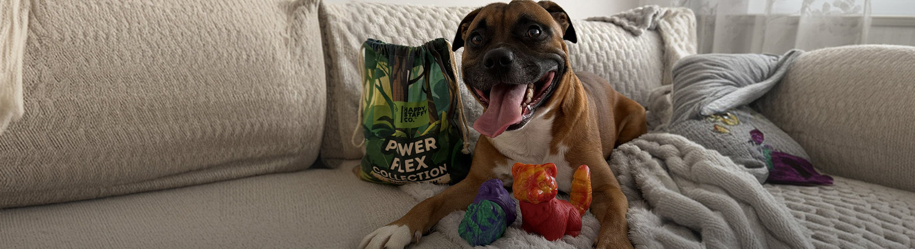 Tough dog toys for power chewers