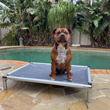 Chew-Proof Outdoor Bed