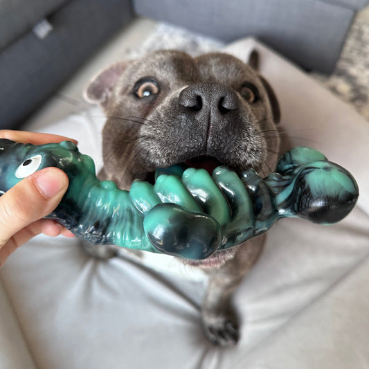 Chewzilla X Power Chewers Bundle