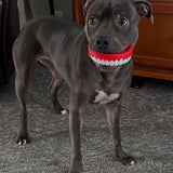 Chewzilla Collection