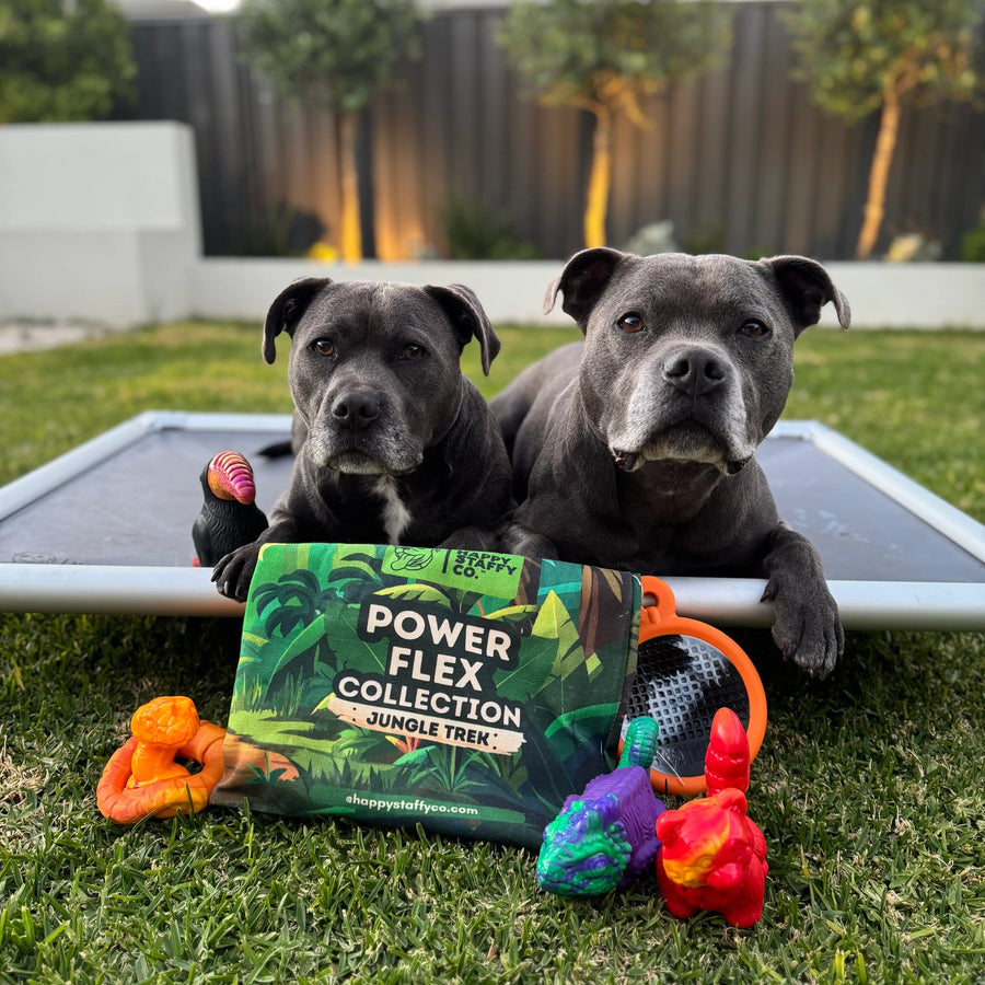 Treat & Toy Bundle (PowerFlex™ Collection)
