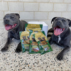 Treat & Toy Bundle (PowerFlex™ Beach Trip)